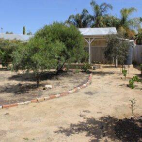 43 French Ave Merredin